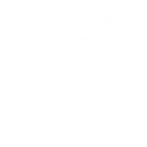 Nielsen Tattoo logo